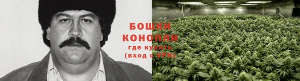 mdma Краснослободск