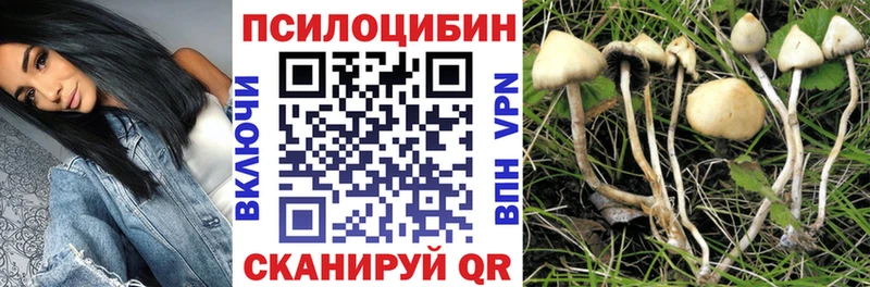 Галлюциногенные грибы мицелий  Сусуман 